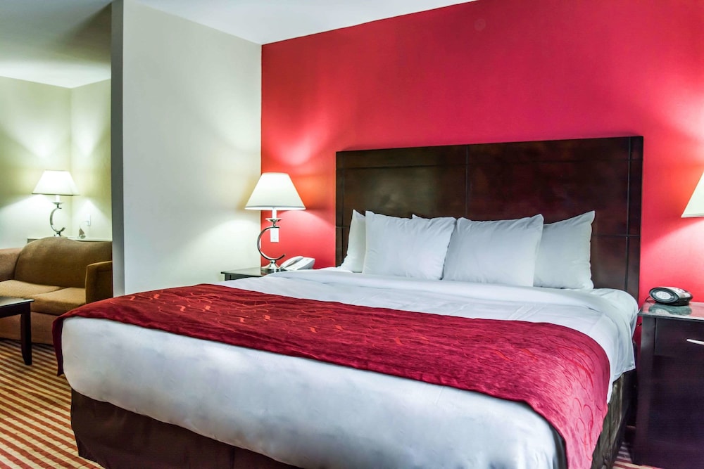 Suite, 1 King Bed with Sofa bed, Non Smoking - Photo 1