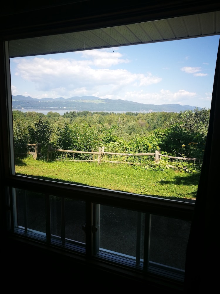 Superior Queen Room, Sea View photo 2