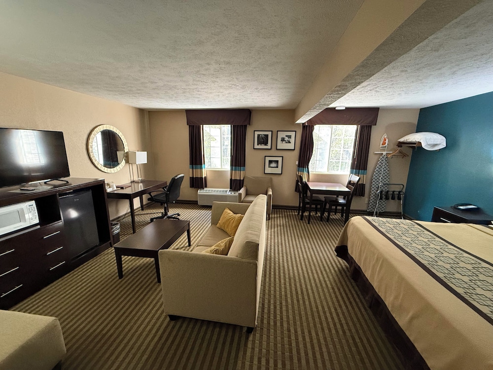 Deluxe Studio Suite, 1 King Bed photo 1