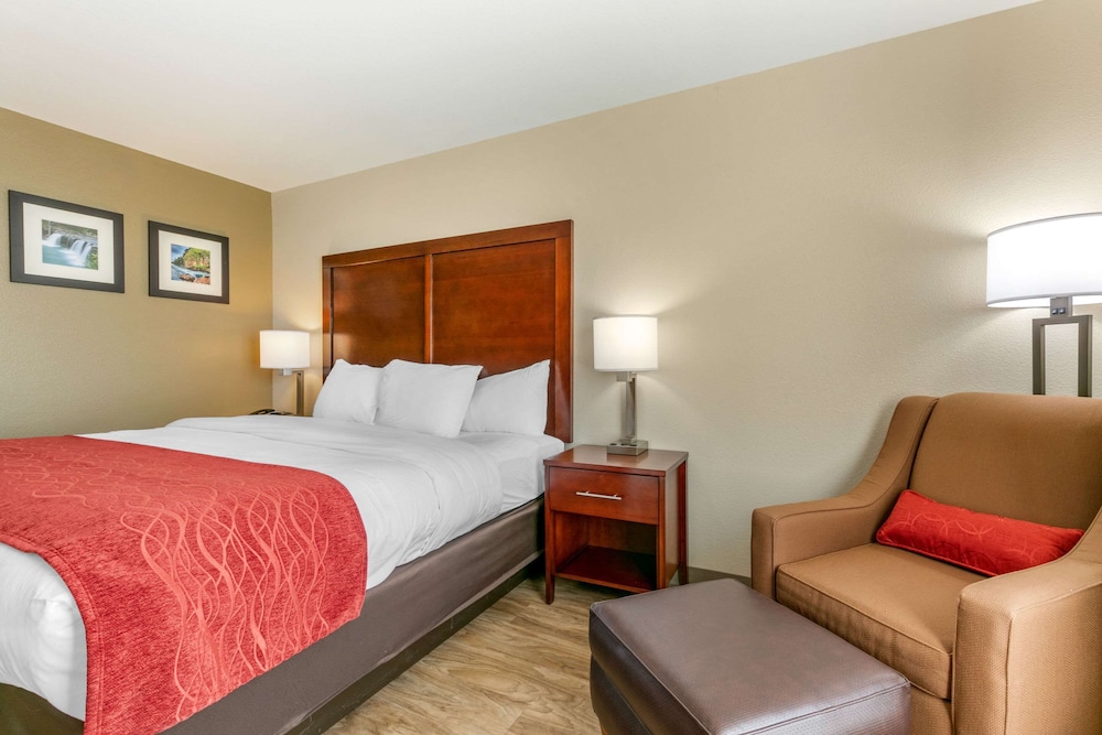 Room, 1 King Bed, Non Smoking (Upgrade) - Photo 6