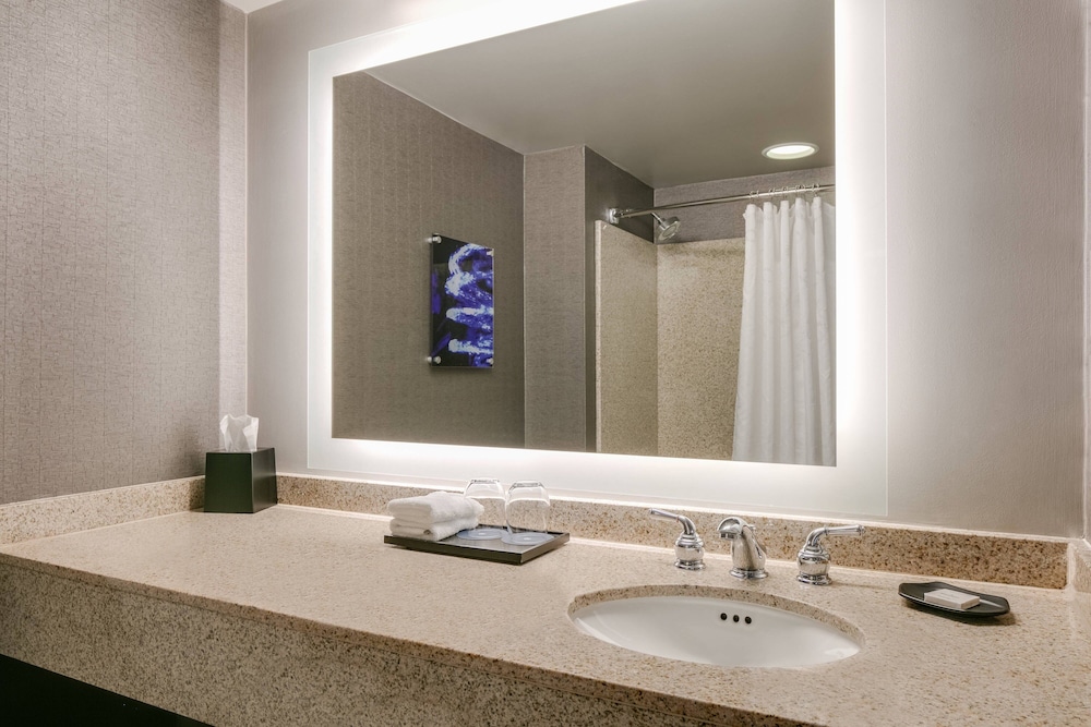 Room, 1 King Bed (Mobility Accessible, Roll-In Shower) - Photo 4