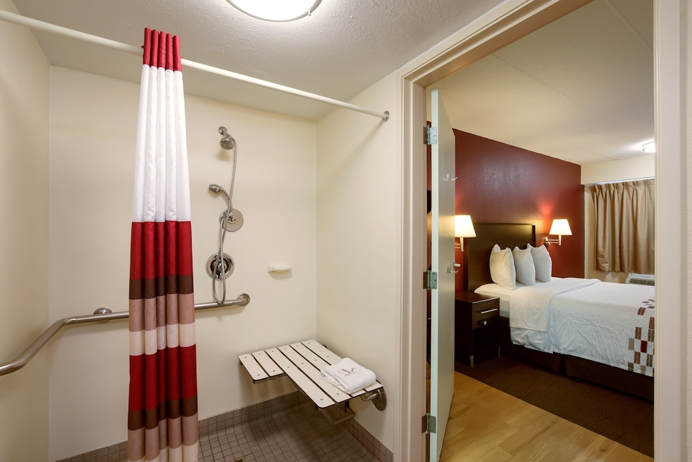 Deluxe Room, 1 King Bed, Accessible, Non Smoking (Roll-In Shower) - Photo 8