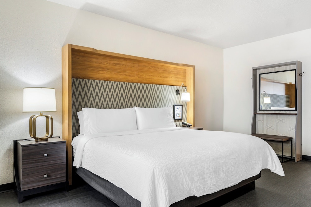 Standard Room, 1 King Bed with Sofa bed