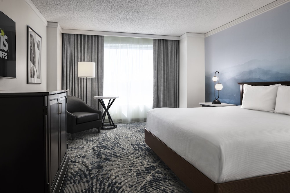 Deluxe Room, 1 King Bed, Non Smoking photo 1