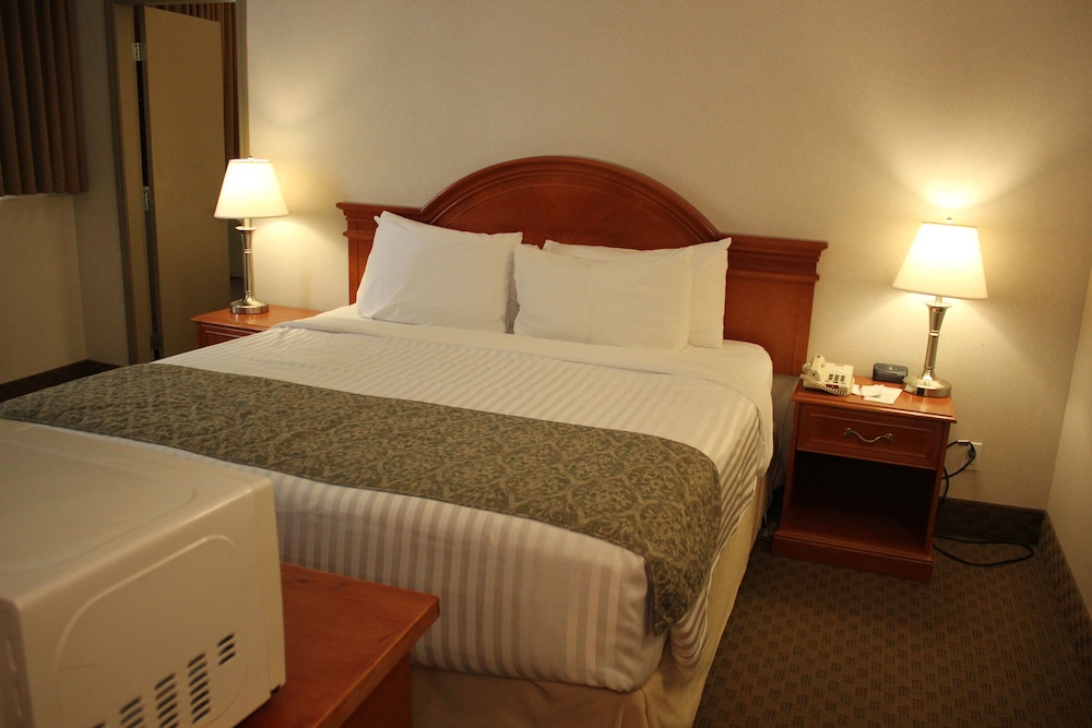 Studio, Multiple Beds, Non Smoking - Photo 5