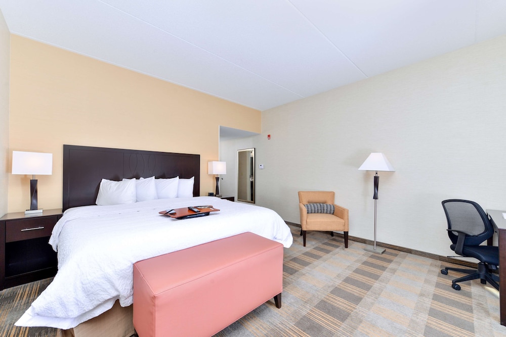 Room, 1 King Bed, Accessible, Bathtub