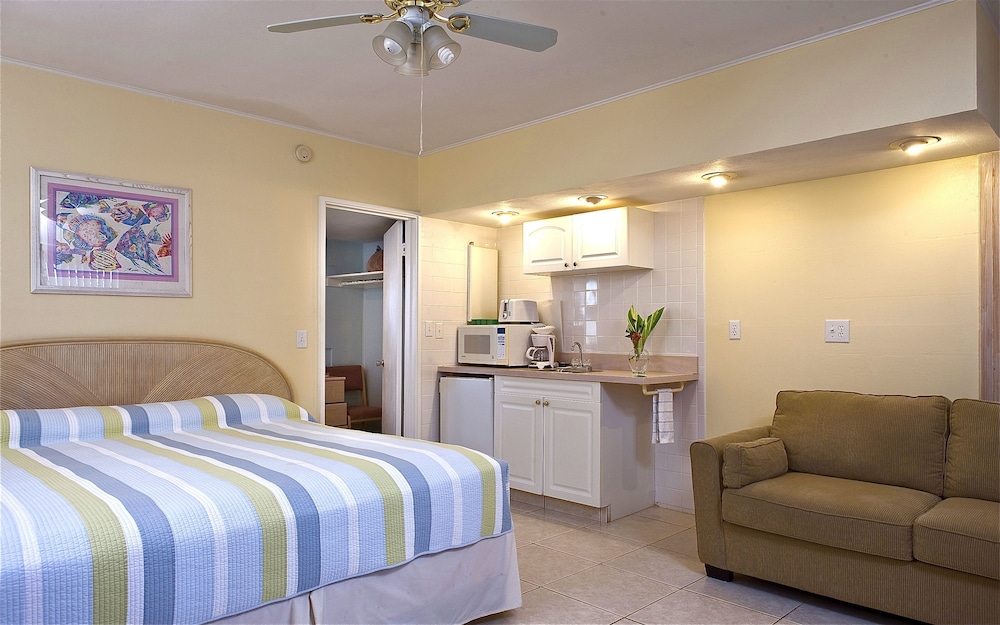 Standard Room, 1 King Bed with Sofa bed, Non Smoking, Private Bathroom