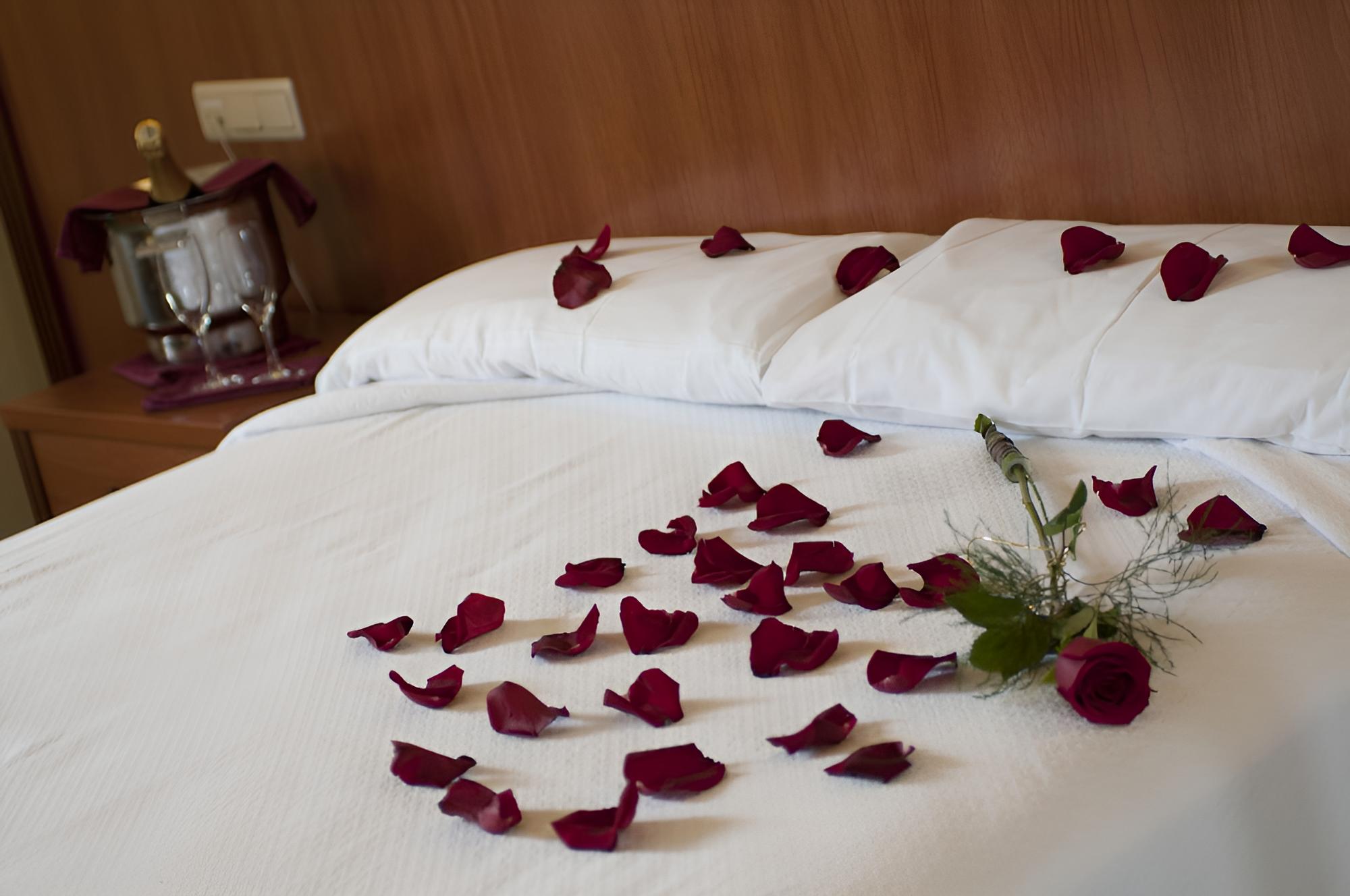 Double or Twin Room photo 1