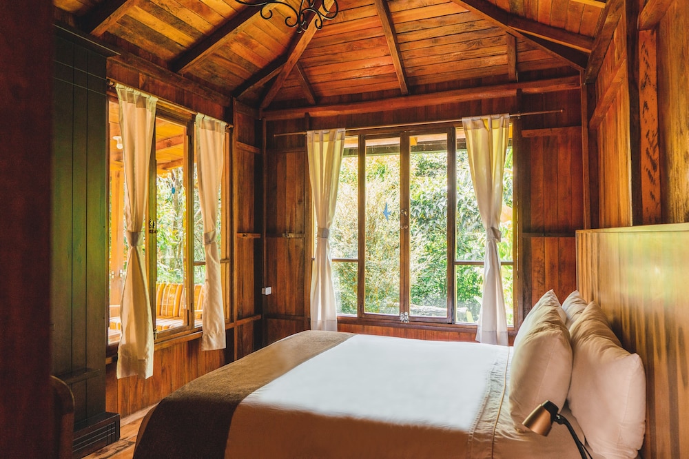 Superior Room, 1 Queen Bed, Balcony photo 1