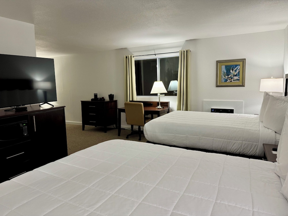 Family Suite, Multiple Beds photo 2