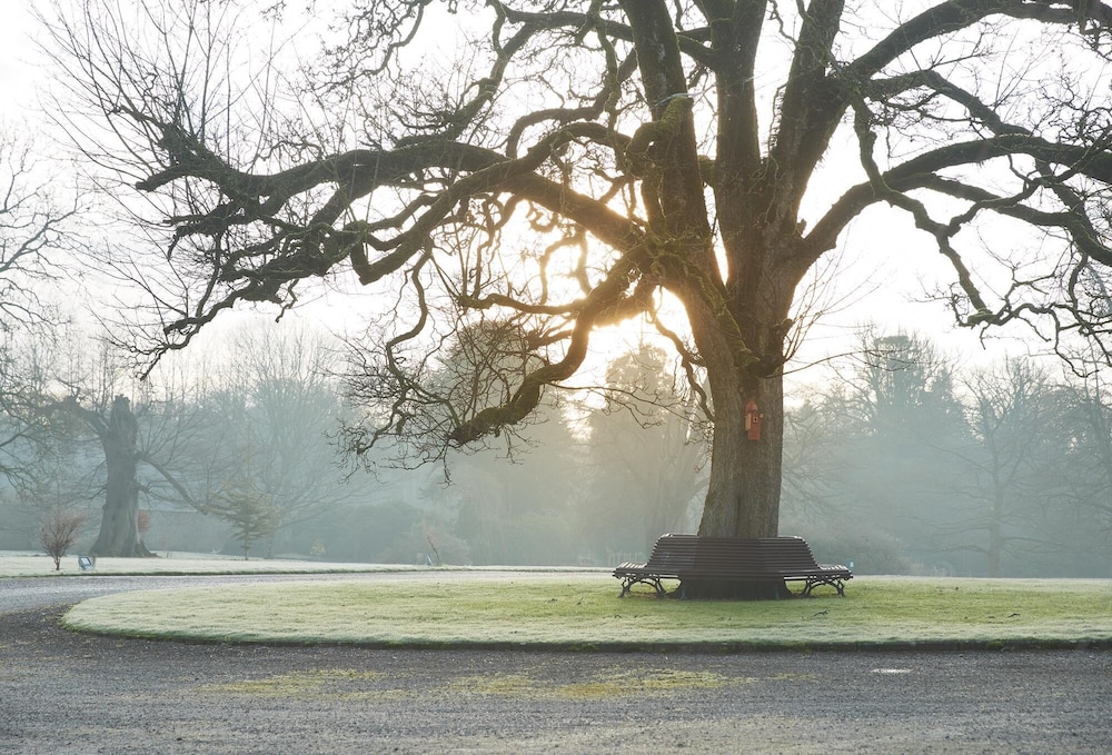 Tilgængelig Lejlighed i det II. gradede Netherby Hall, Billede 27
