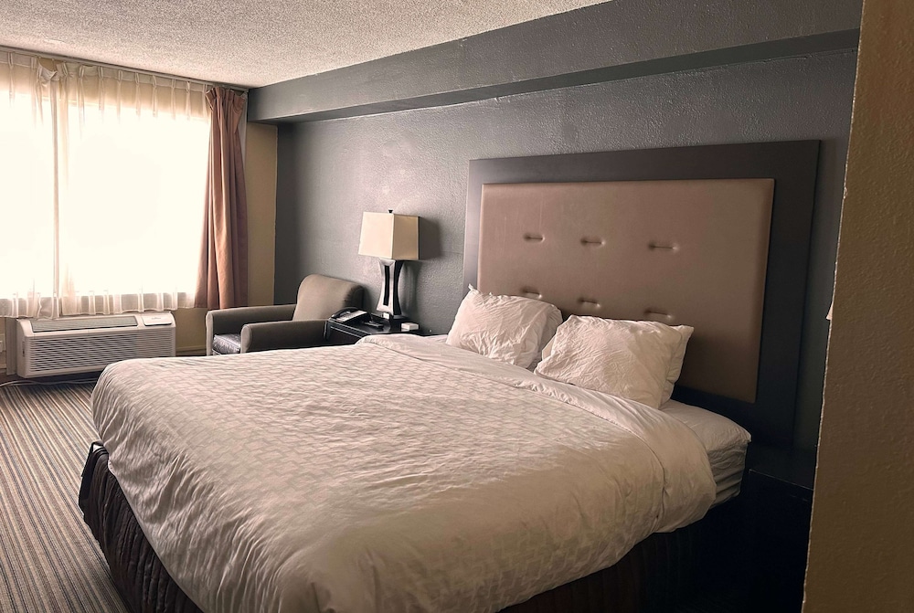 Room, 1 King Bed, Non Smoking - Photo 1
