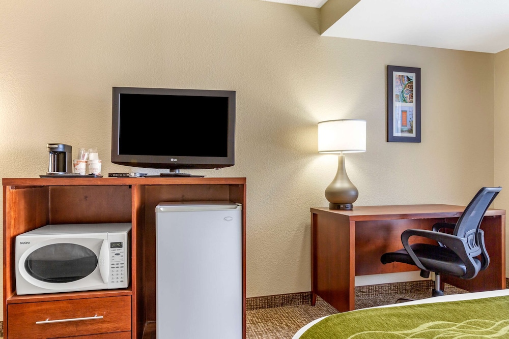 Deluxe Suite 1 King Bed, Sofa Bed, Sitting Area, Non-Smoking photo 3