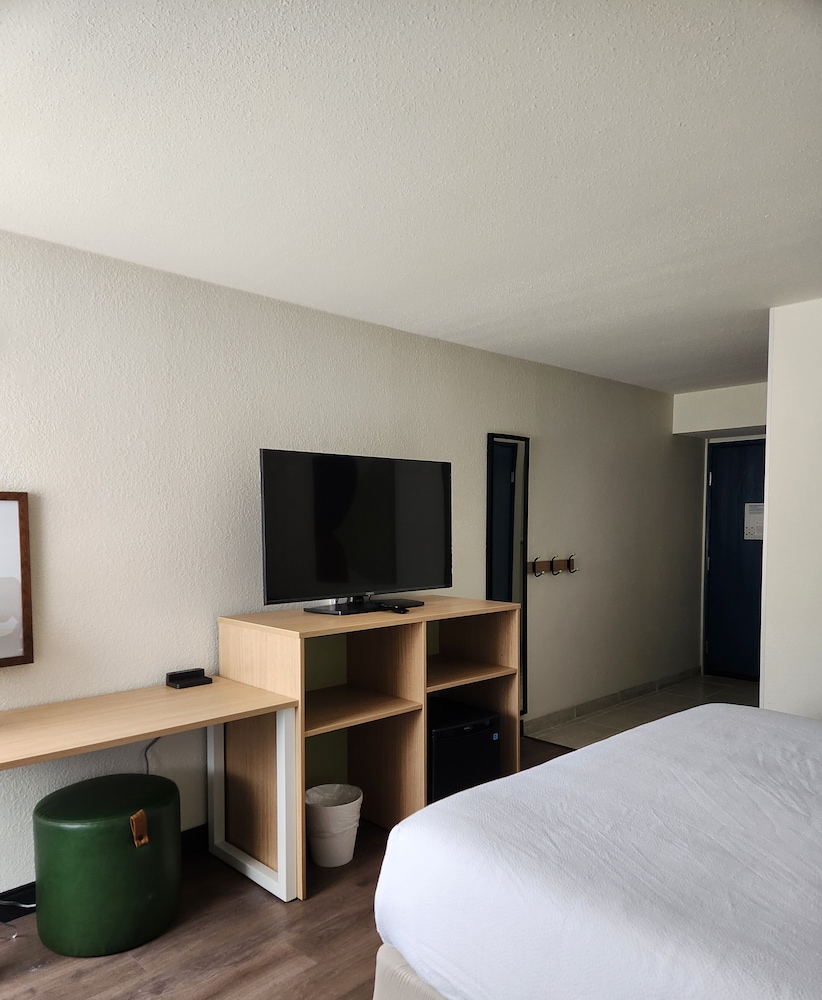 Room, 1 King Bed, Roll-in Shower - Photo 3