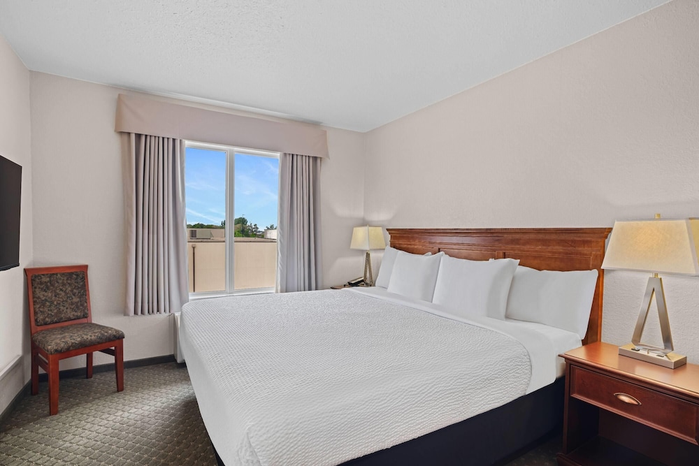2 Queen Bed 1 Sofa bed Bedroom Efficiency photo 3