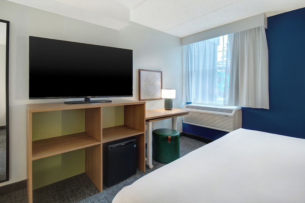 Room, 1 King Bed, Accessible (Roll-In Shower) - Photo 6