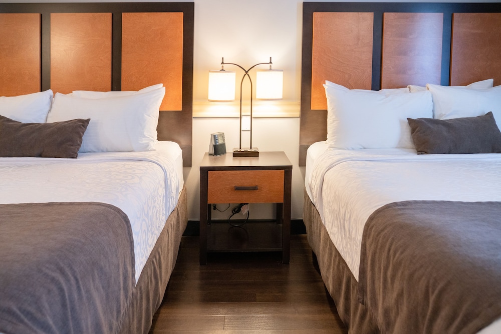Accessible Room, 2 Queen Beds photo 1