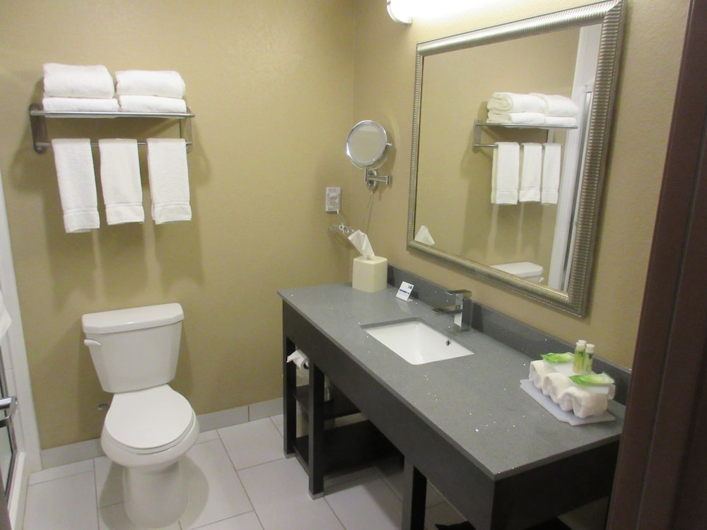 Suite, 1 King Bed, Accessible (Comm, Tran Shower) photo 2