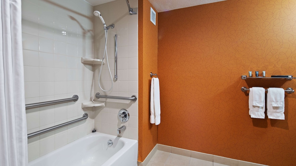 Suite, 1 King Bed, Accessible, Non Smoking (with Sofabed) - Photo 7