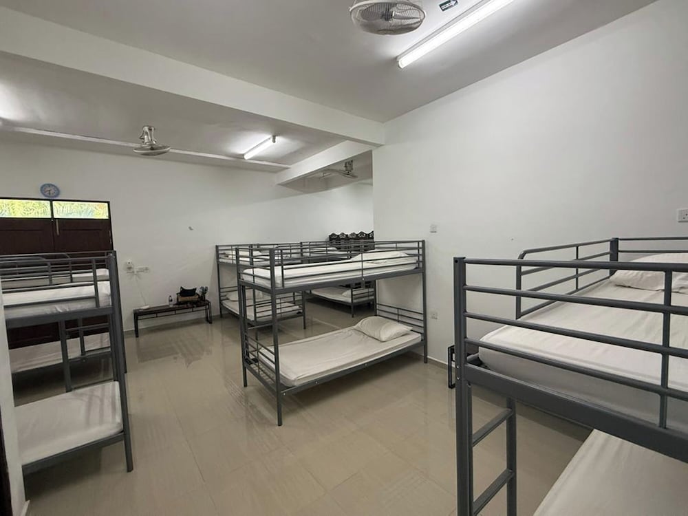 Comfort Shared Dormitory