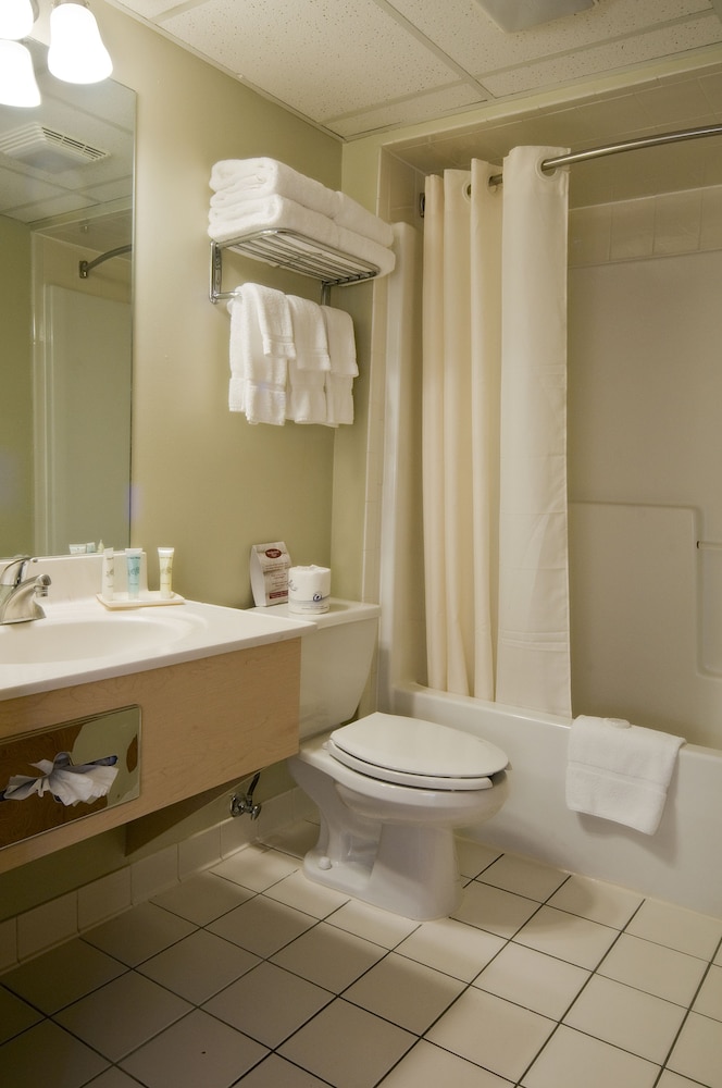 Executive Room, Multiple Beds - Photo 4