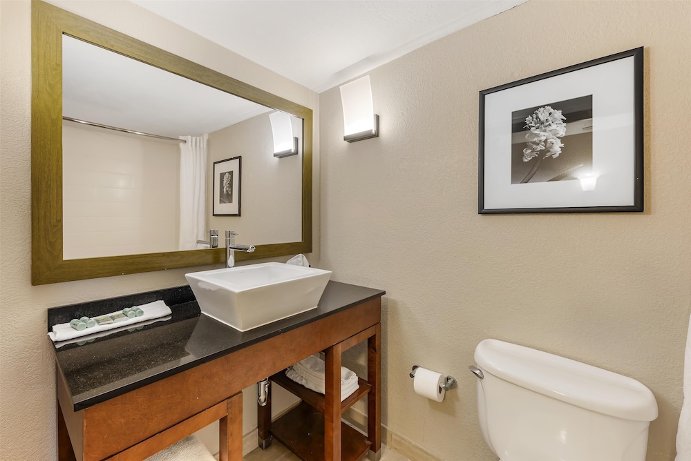 Suite, 1 King Bed, Non Smoking, Refrigerator & Microwave (with Sofabed) - Photo 4