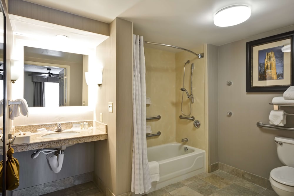 Suite, 1 King Bed, Accessible, Bathtub (Mobility & Hearing) - Photo 3