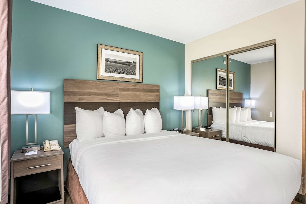 Suite, 1 Queen Bed photo 1