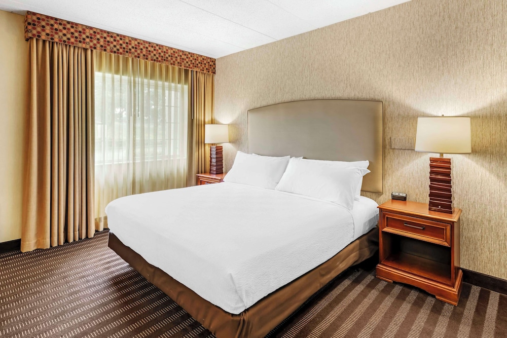 Suite, 1 King Bed, Accessible, Refrigerator & Microwave (with Sofabed) - Photo 2