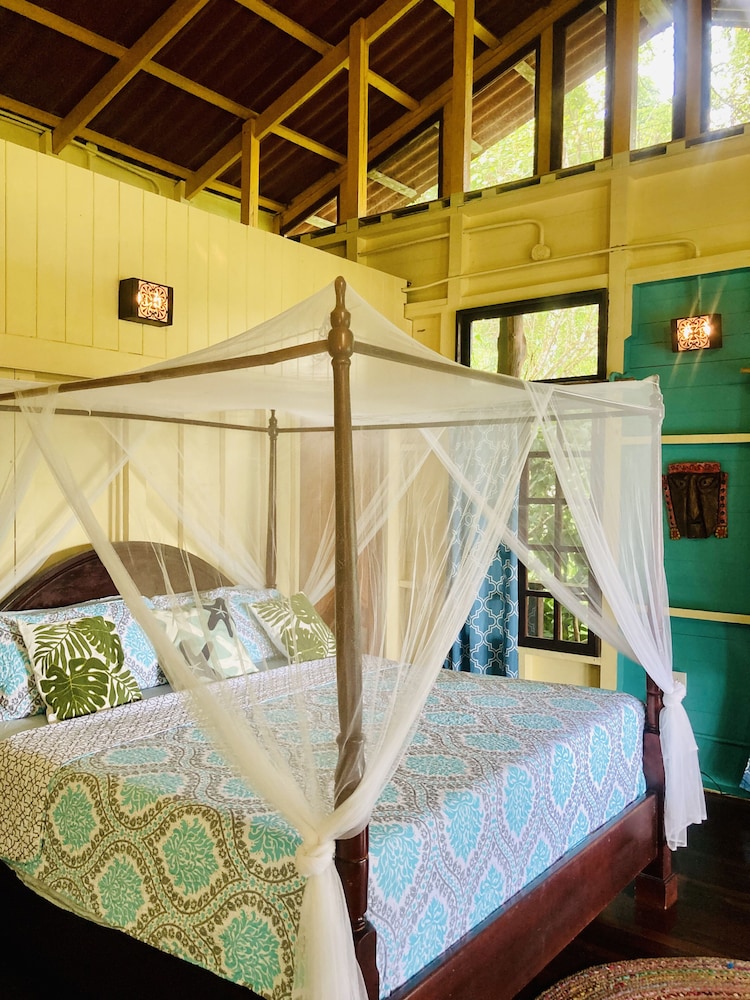 Standard Double Room, 1 King Bed, Ocean View photo 3