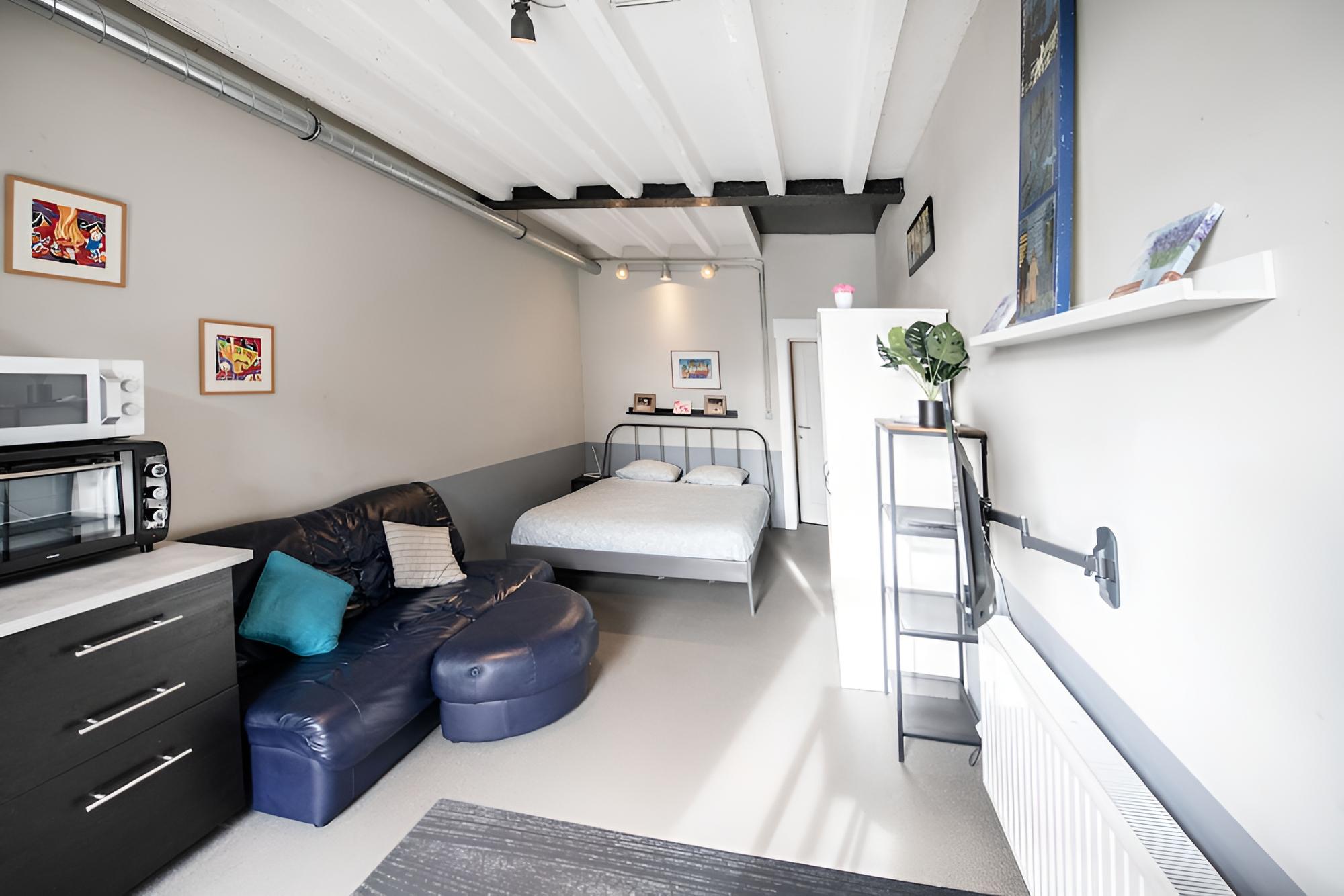 Deluxe Studio, 1 Queen Bed photo 1