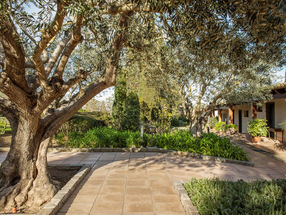 Suite, Terrace, Garden Area (Spa Access included) photo