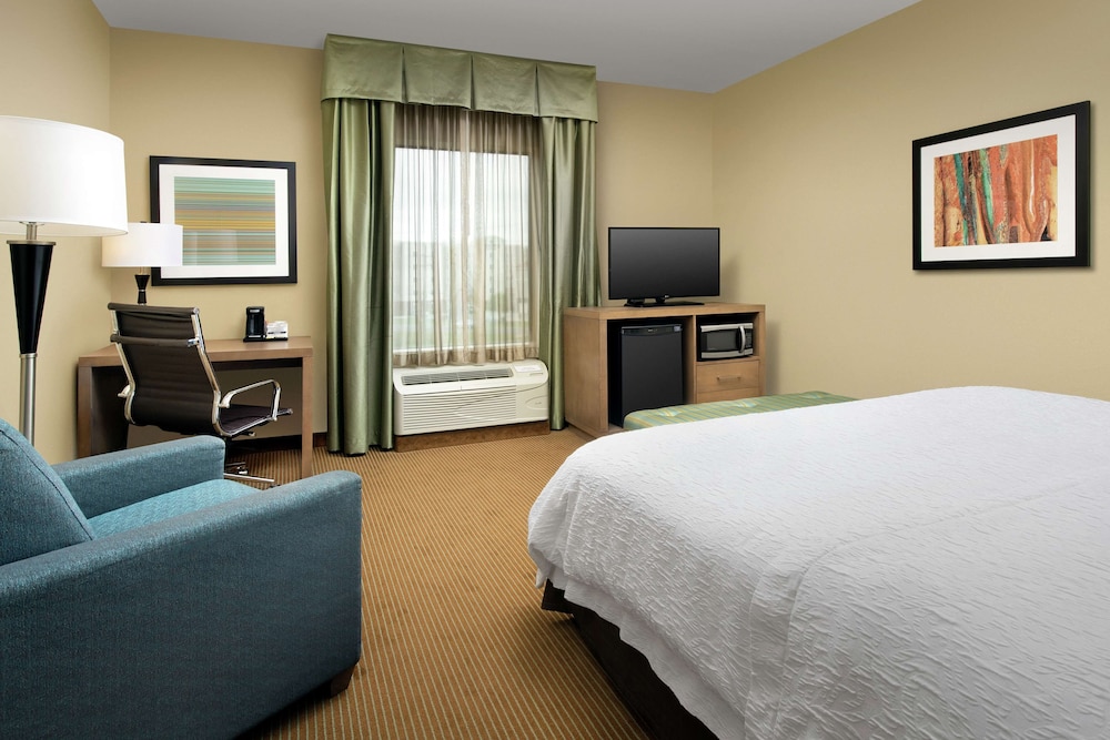 Room, 1 King Bed photo 1