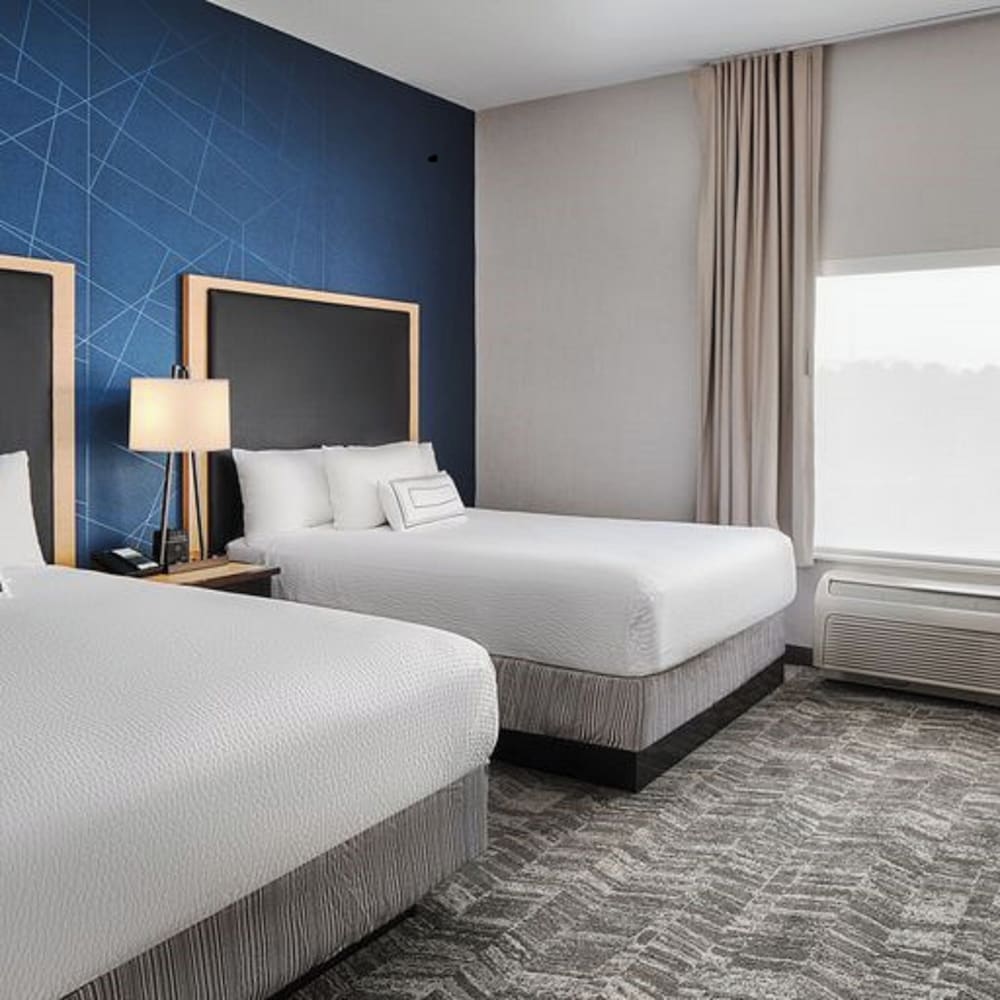 Suite, Multiple Beds - Photo 5