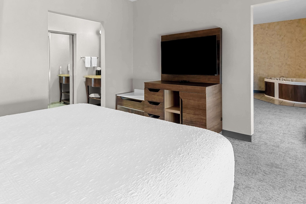 Suite, 1 King Bed, Non Smoking - Photo 3