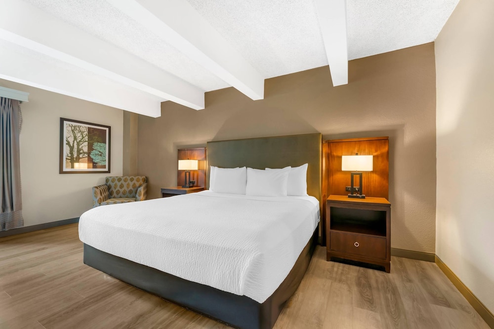 Suite, 1 King Bed with Sofa bed, Non Smoking photo 1