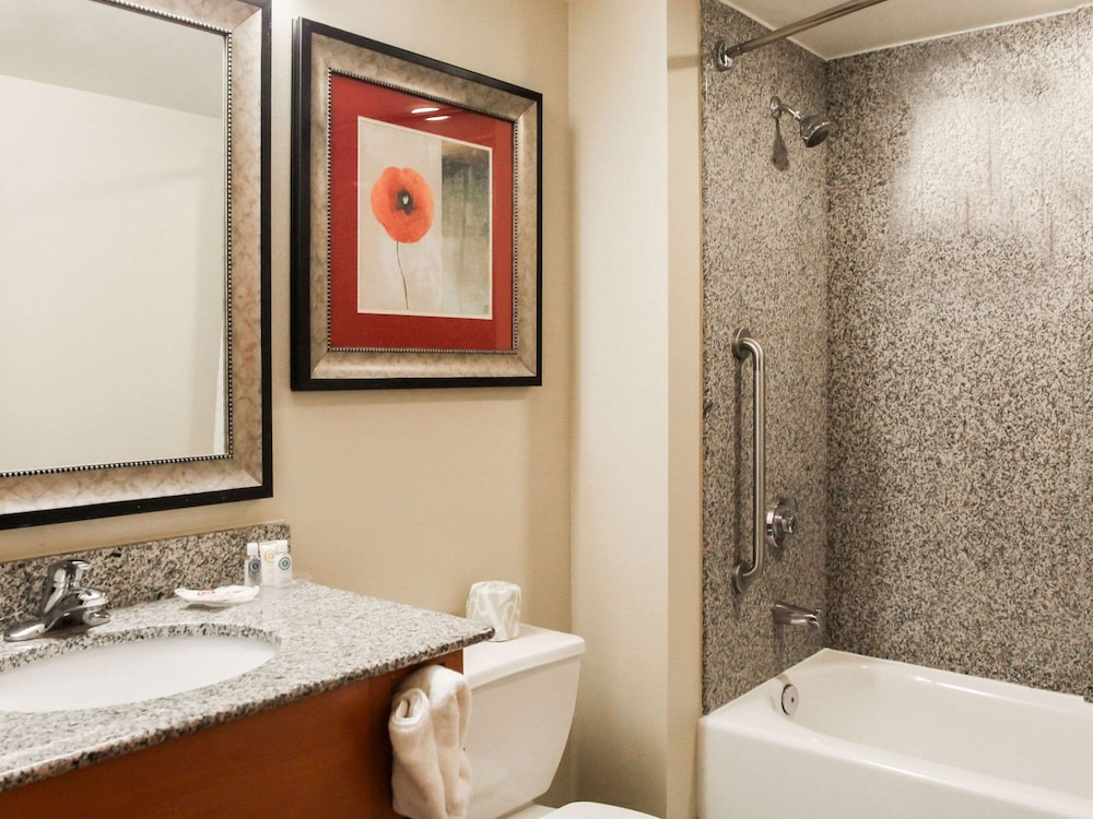 Comfort Suites At Virginia Center Commons, Billede 10