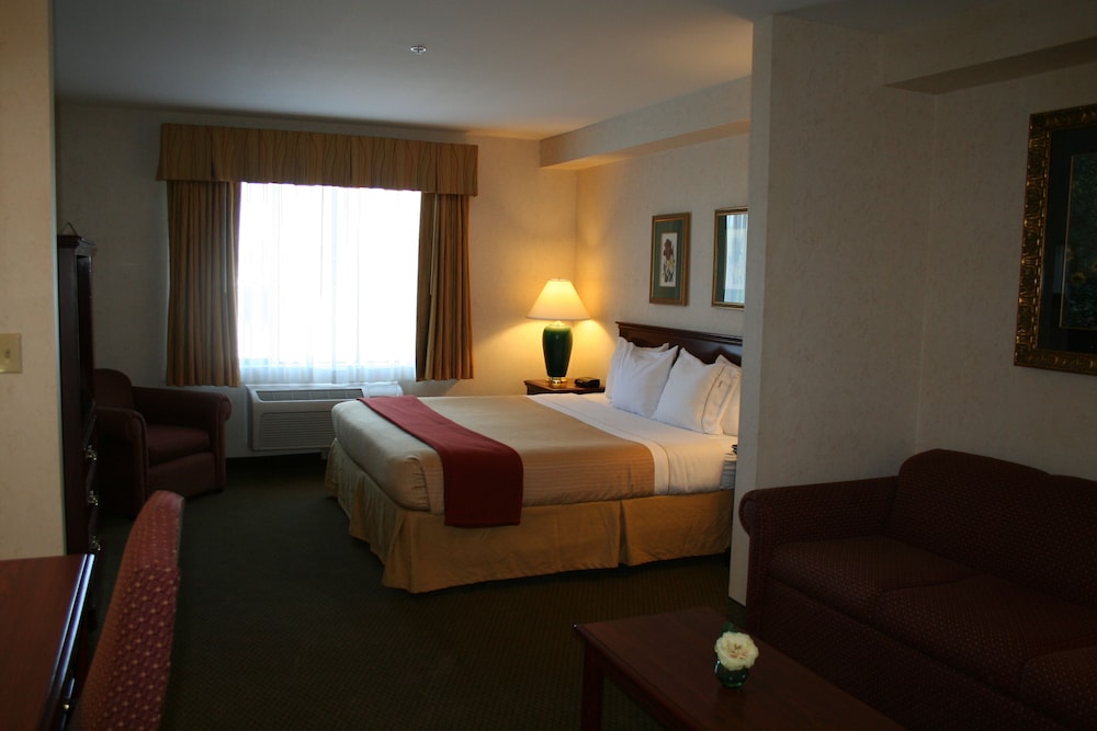 Executive Suite, 1 King Bed with Sofa bed, Accessible photo 1