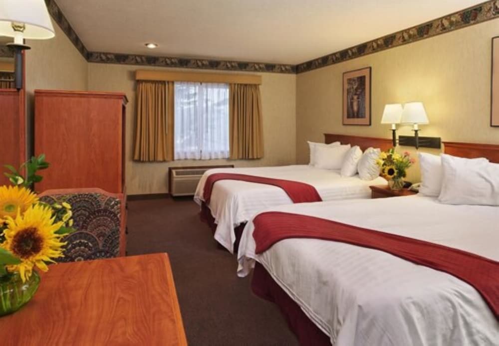 Standard Room, 2 Queen Beds photo 1