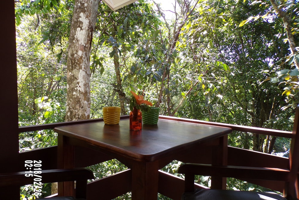 Panoramic Room, 1 Bedroom, Kitchenette, Mountain View photo 3