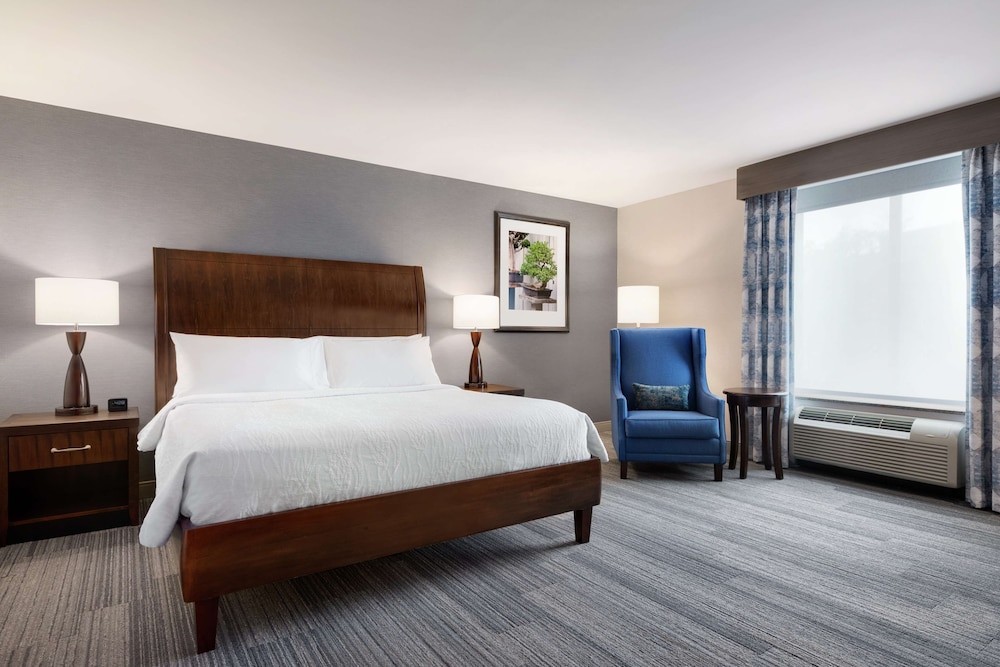 Room, 1 King Bed, Accessible (Mobility & Hearing, Roll-in Shower) photo 3