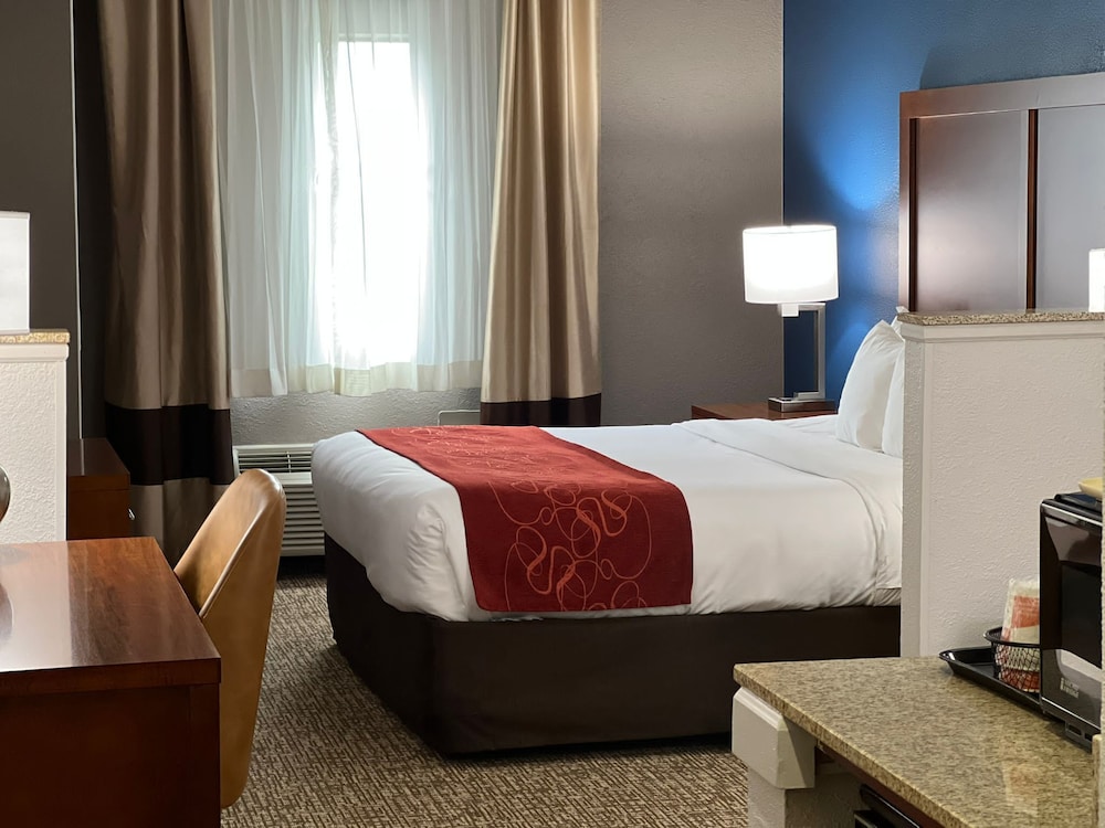 Suite, 1 King Bed with Sofa bed, Accessible, Non Smoking (Roll-In Shower) - Photo 1