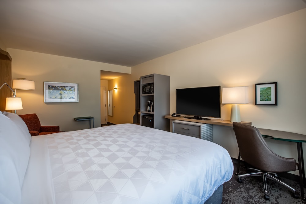Standard Room, 1 King Bed (Walk-In Shower) - Photo 5