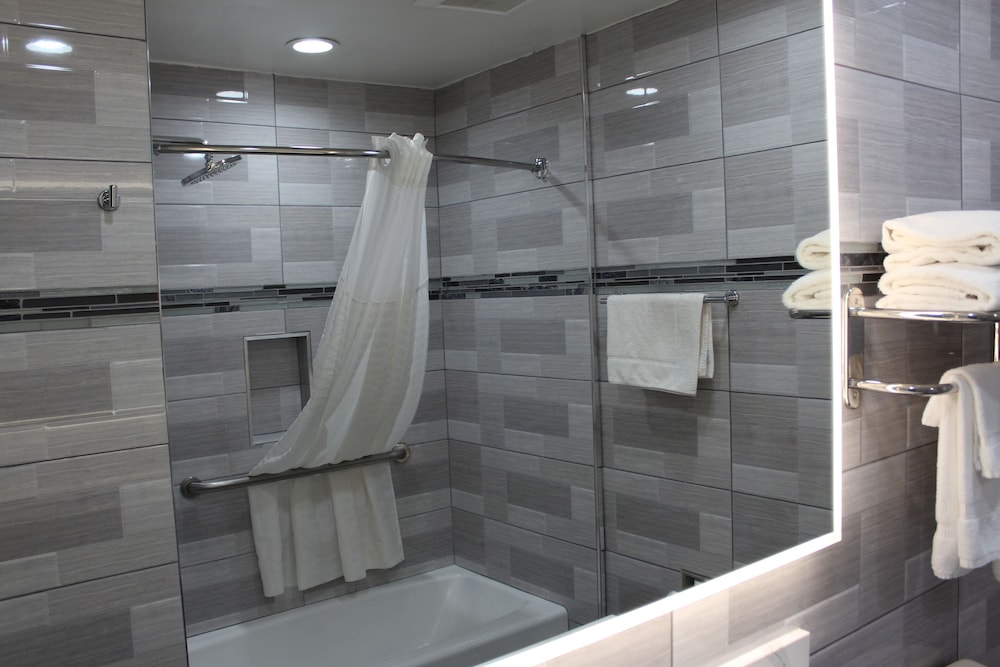 Deluxe Single Room, 1 King Bed - Photo 5