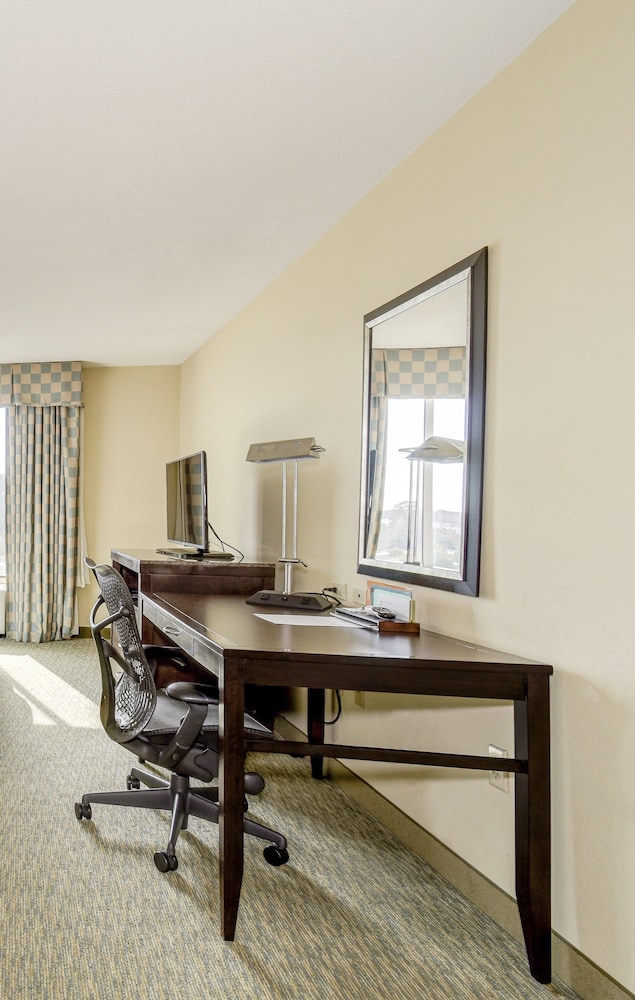 Suite, 1 Bedroom - Photo 2