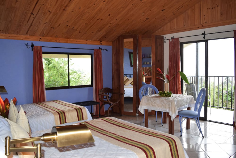 Studio Suite, 2 Double Beds photo 3