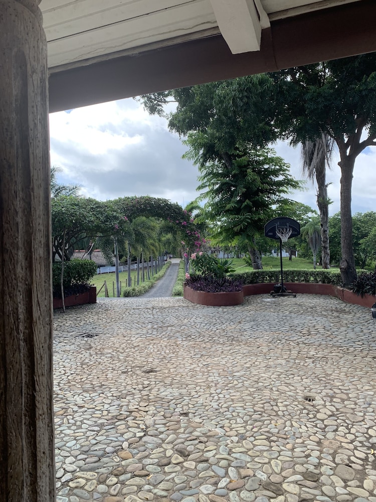 Deluxe Single Room, Courtyard View photo 3