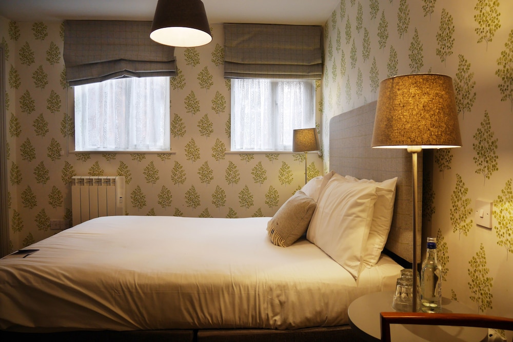 Comfort Room photo 2