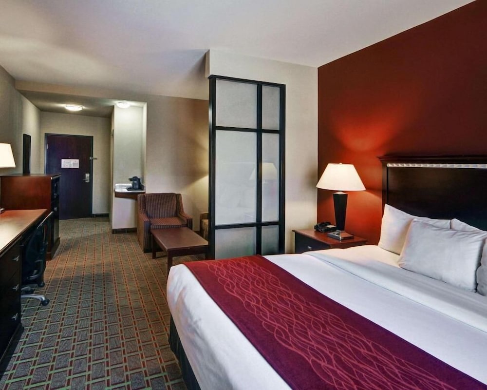 Suite, 1 King Bed with Sofa bed, Accessible, Non Smoking - Photo 1