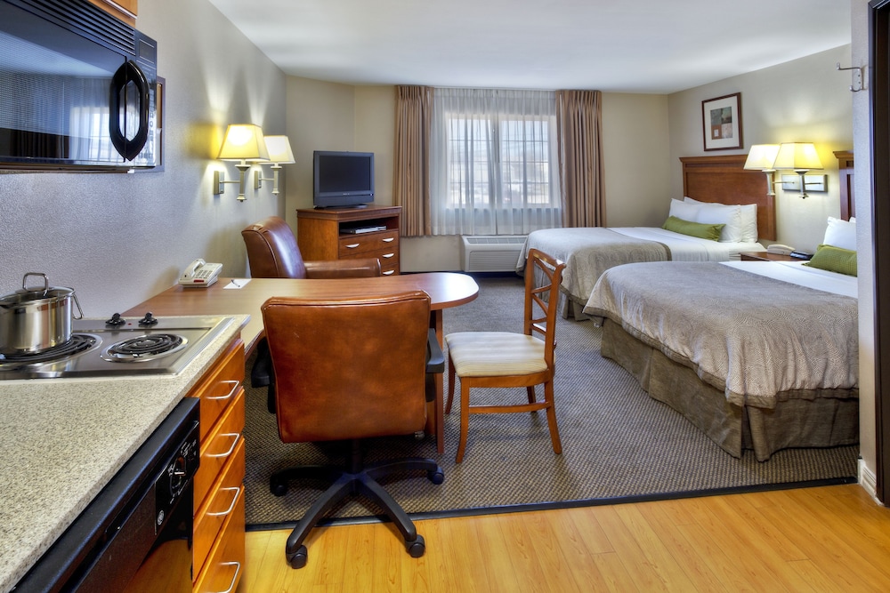 Studio Suite, 2 Double Beds - Photo 1